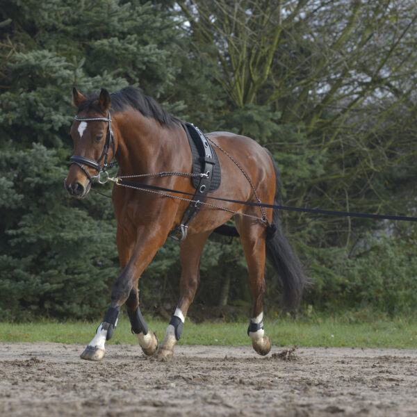 Lunging System - Tack & Things Equestrian Shop
